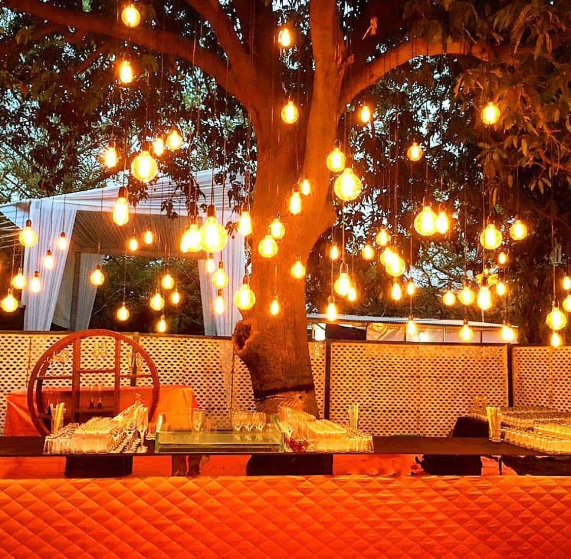 Tree hung with lanterns for an evening wedding